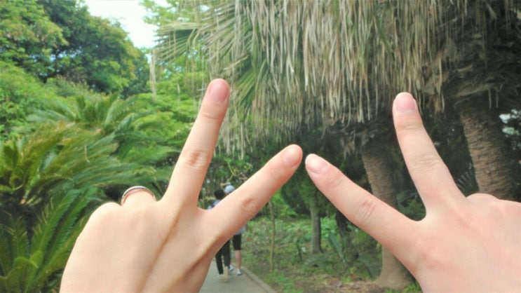 동화같은 제주 한림공원