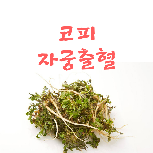  코피