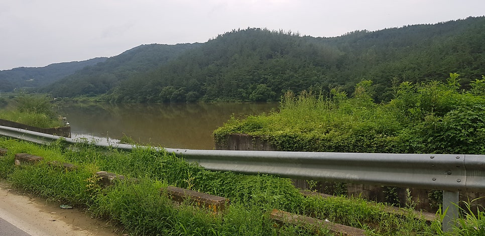 진등산 사진 6