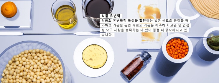  식품의 질감, 식감, 보관 등에대한 유변학적 특성 분석