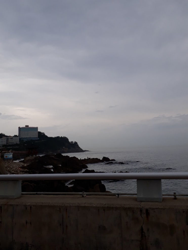  삼척 해안도로 드라이브코스 짱 (새천년도로)