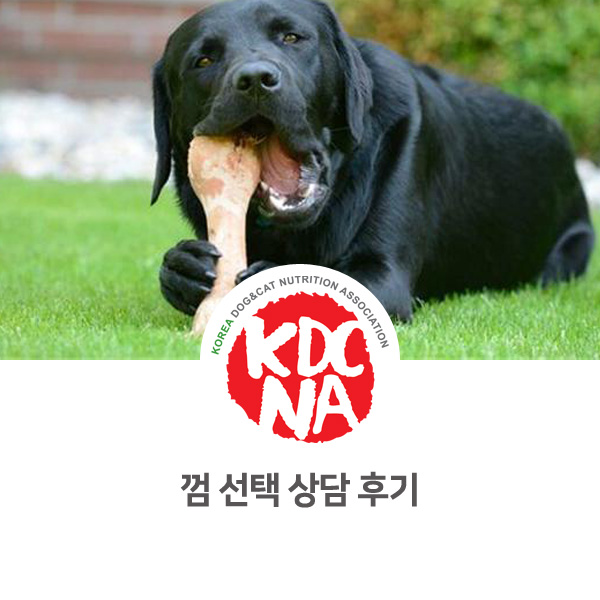  [반려동물 영양 상담 카운셀링] 한국반려동물영양협회 최수연 펫영양사 : 강아지 껌 선택 상담 후기_571