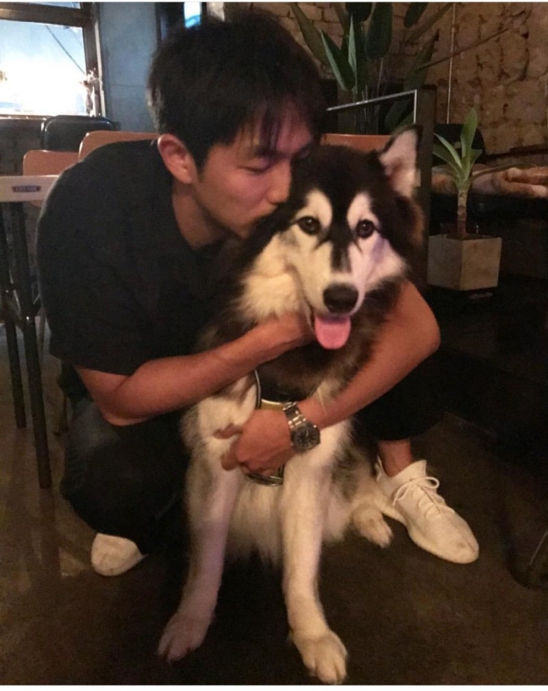 임슬옹 나이,키,근황,인스타,교통사고