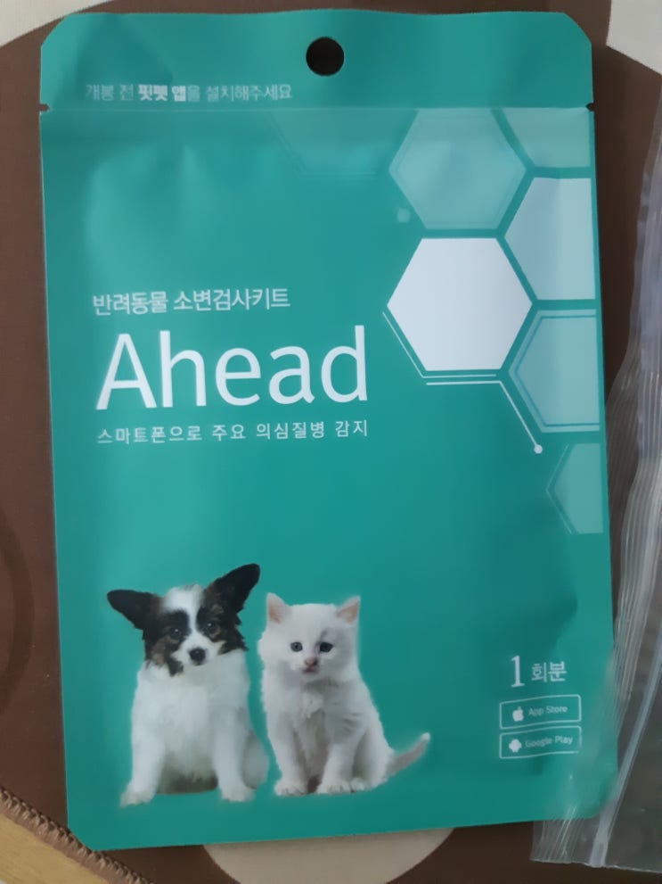  고양이 소변검사 진단키트 양성 병원가기전 금식