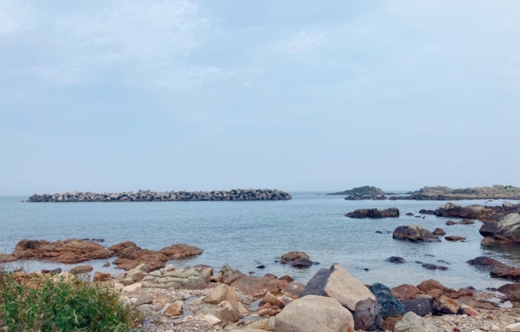  기장힐튼근처 ‘시랑리해녀할매집’ 해산물,전복죽,따개비죽 맛집