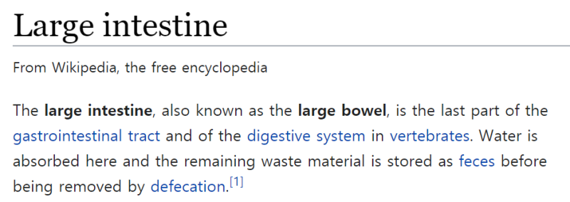 맹장(cecum), 결장(colon), 직장(rectum)으로 이루어진 대장(large intestine)의 해부학적 구조에 ...