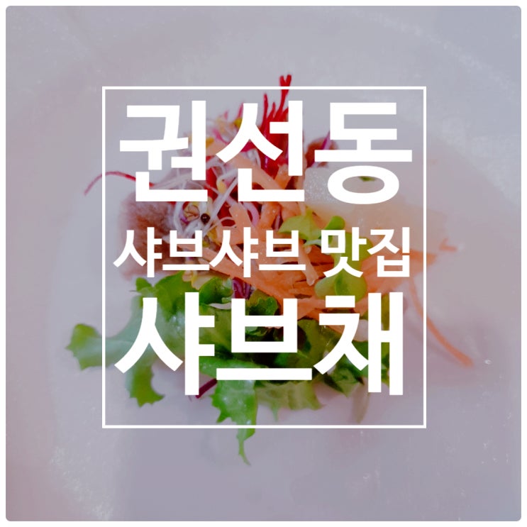 [수원/맛집] 권선동 샤브채 수원직영점 샤브샤브 맛집이었네(재방문ok)