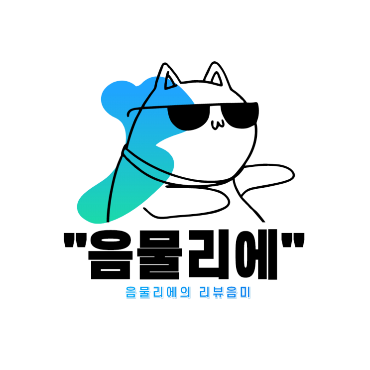  음물리에