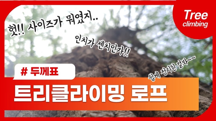  트리클라이밍 밧줄 두께를 한눈에 봐요~