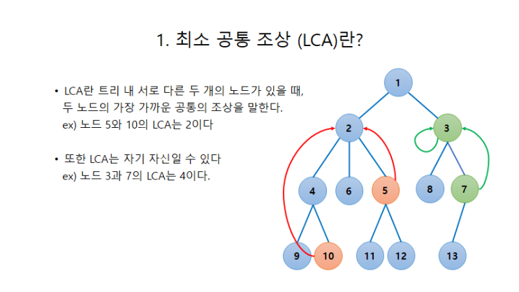 [알고리즘] LCA  - 최소 공통 조상 (Segment Tree로 구현)