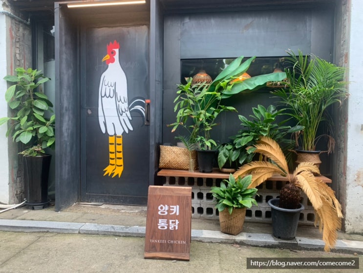  문래동 비 오는 날 건강식으로 맥주와 잘 어울리는 통닭 양키 통닭 먹으러 왔어요 (시금치 진짜 맛있음)