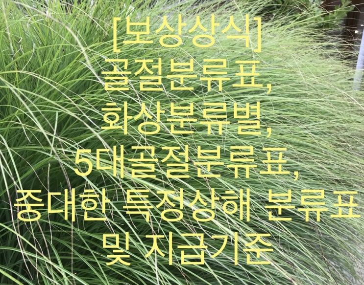 [보상상식]골절분류표, 화상분류별, 5대골절분류표, 중대한 특정상해 분류표 및 지급기준