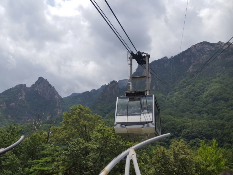  설악산 케이블카 탐방기