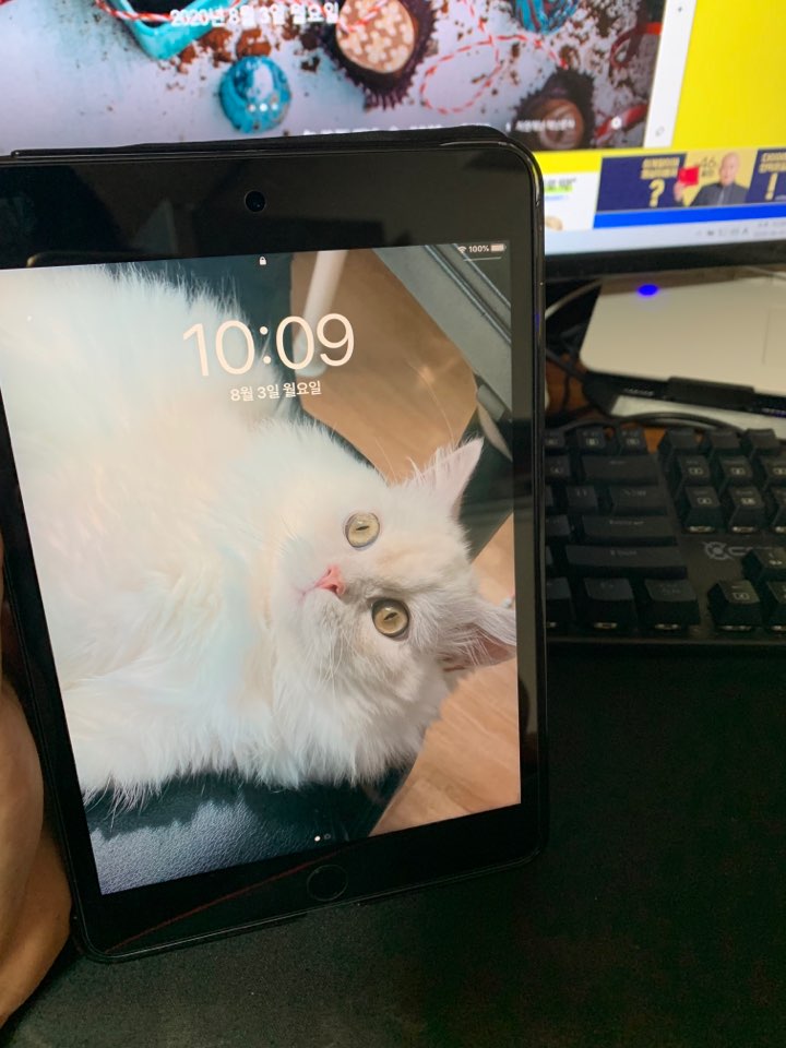  I Pad Mini 5 구매 / 아이패드 / 아이패드 미니5 / 가성비 디바이스 / 아이패드 성능 / 아이패드 비교