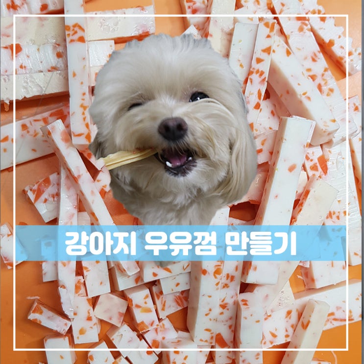  강아지 수제간식 우유로 개껌 만들기