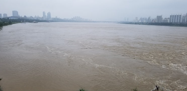 비오는날 한강의 위용과 아침운동
