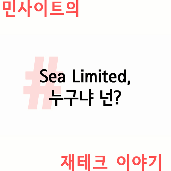  Sea Limited, 누구냐 넌?
