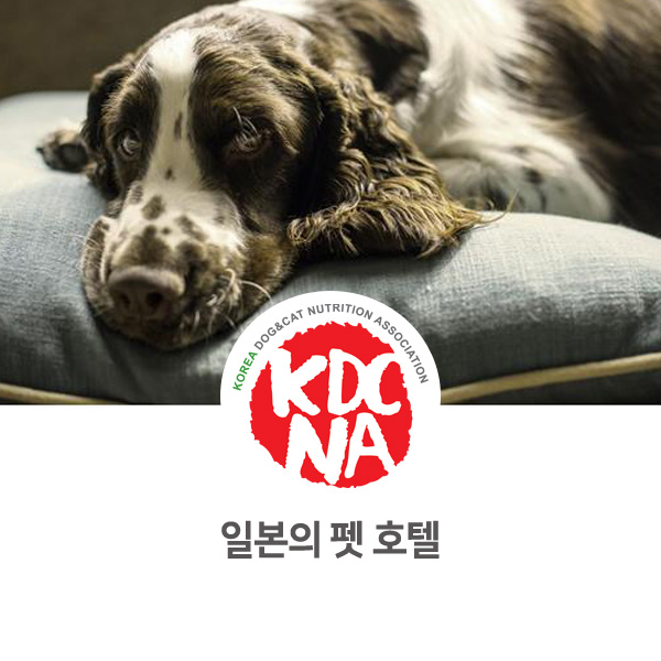  [펫 관련 사업 정보] 일본의 강아지 고양이 애견 호텔에 대해서 알아보자_570