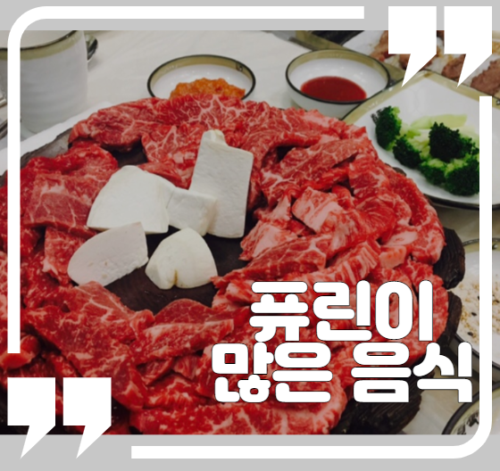  퓨린이 많은 음식, 통풍 환자들은 주의해야 할 식품 모음