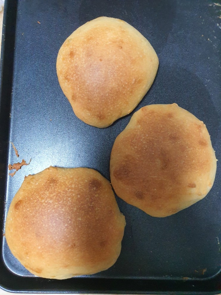  [홈베이킹] 모닝빵 & 식빵 만들기