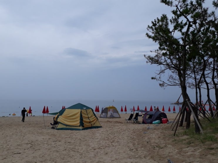  후진 해수욕장 오늘의 모습