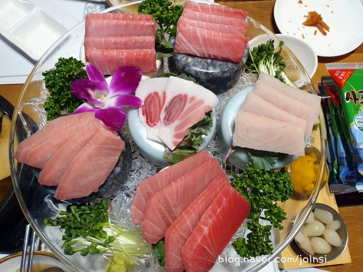  만족스런 강남역 참치 노쉡참치초밥 참치회에 초밥까지 배부르다