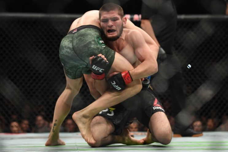 게이치 익사시킨다는 하빕에 반응한 맥그리거 "부랄킁킁이" 등 MMA 뉴스 게이치 익사시킨다는 하빕에 반응한 맥그리거 "부랄킁킁이" 등 MMA 뉴스