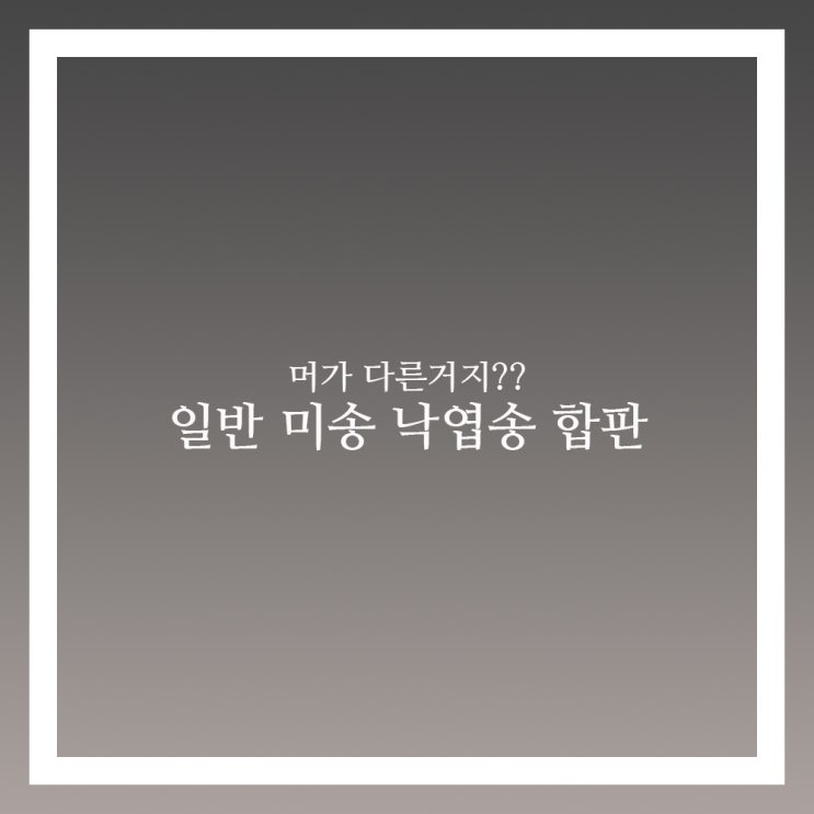  일반 미송 낙엽송합판 특징과 차이점