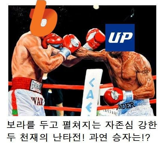  보라(BORA), 빗썸, 업비트 원화 동시상장(속터짐주의)