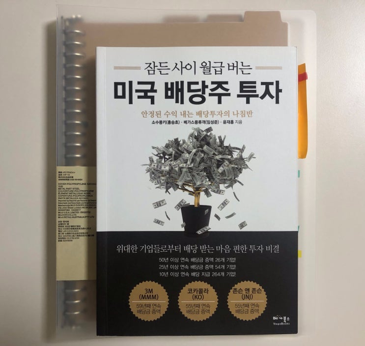  [주식공부] #1. 잠든 사이 월급 버는 미국 배당주 투자
