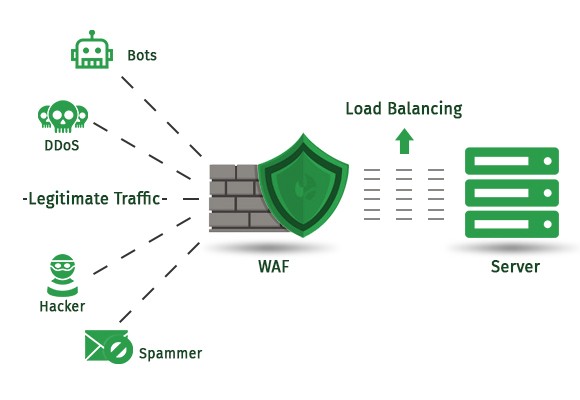 비볼디 - 웹 방화벽 서비스 (디도스 DDOS 완벽 방어)