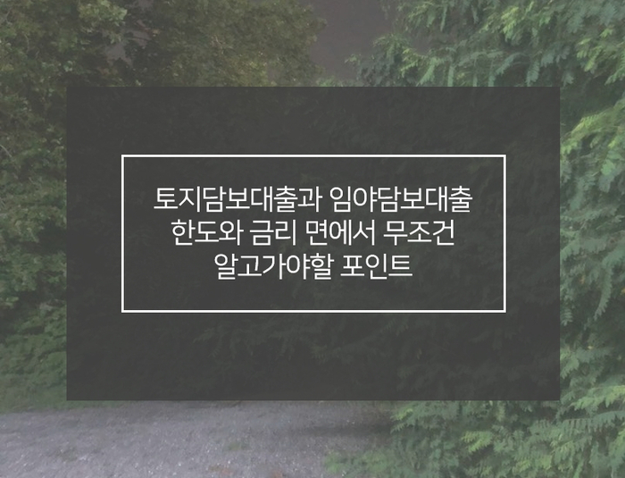  토지담보대출 한도 임야도 가능한 맘에드는 한도 금리를 위한 포인트