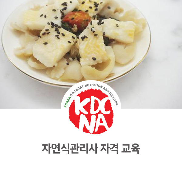  [반려동물 영양 전문가 양성] 펫푸드 자격증 자연식관리사 취득 안내_585