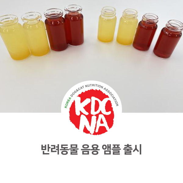  [반려동물 영양 전문가 양성] 강아지 고양이 음용 앰플이 곧 출시됩니다_579