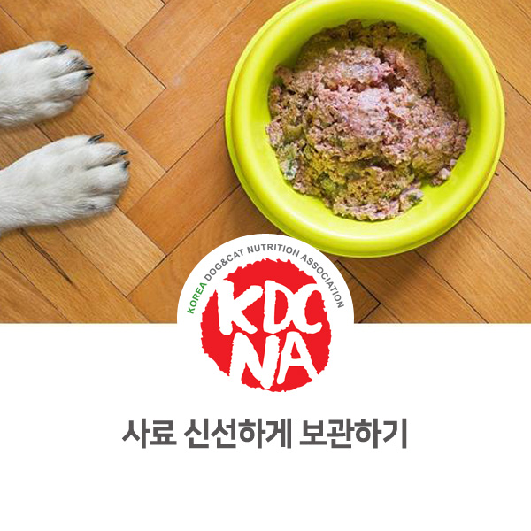 [반려동물 음식 유용한 정보] 강아지 고양이 사료 보관하는 방법_578