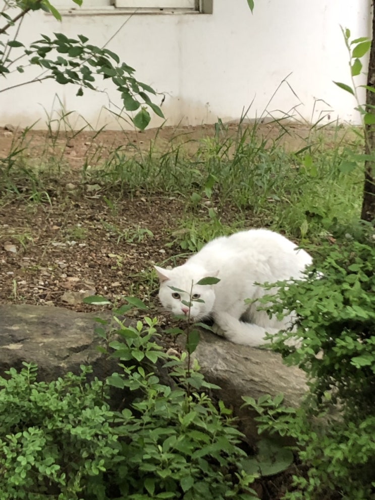  7월 갤러리 털기 / 웃짤털