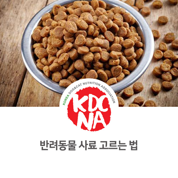  [반려동물 음식 푸드 정보] 강아지 고양이 사료 고르는 방법_582