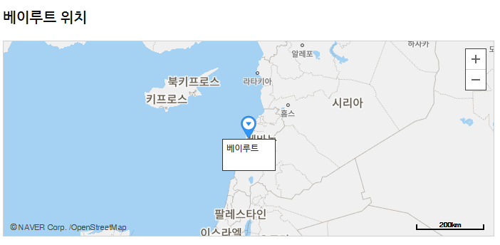  레바논 베이루트 폭발사고 현장 영상