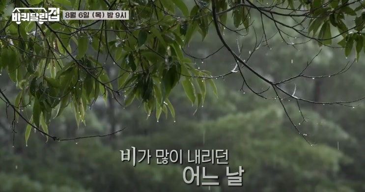 바퀴달린 집 엄태구 이정은 박혁권 고창석 나이 키 학력 남양주 철마산 캠핑장 계곡 바퀴달린 집 엄태구 이정은 박혁권 고창석 나이 키 학력 남양주 철마산 캠핑장 계곡