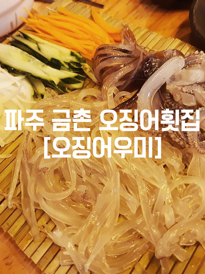  파주 금촌 횟집 [오징어우미]