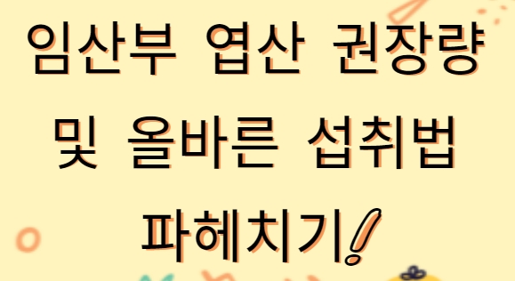  임산부 엽산 권장량 및 올바른 섭취법 파헤치기!