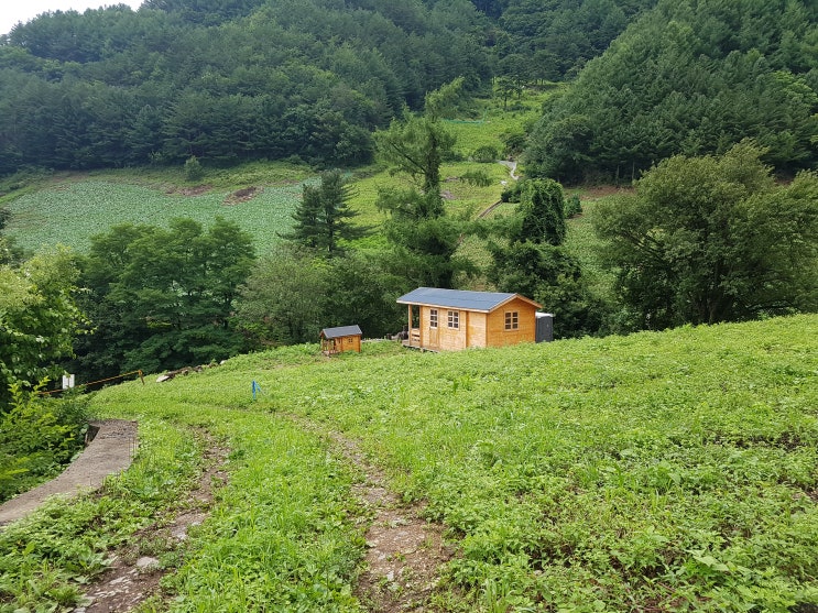  고토원농장 일지