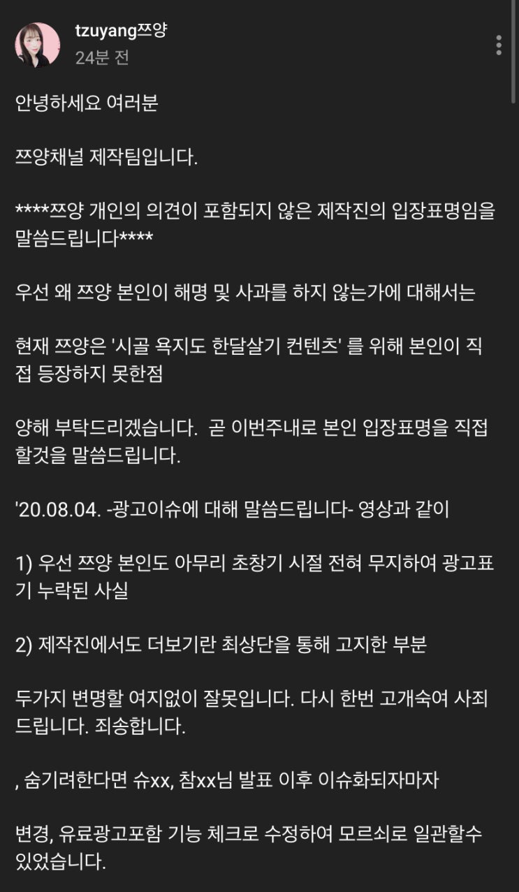 홍사운드 저격한 쯔양 유튜브 제작팀 논란