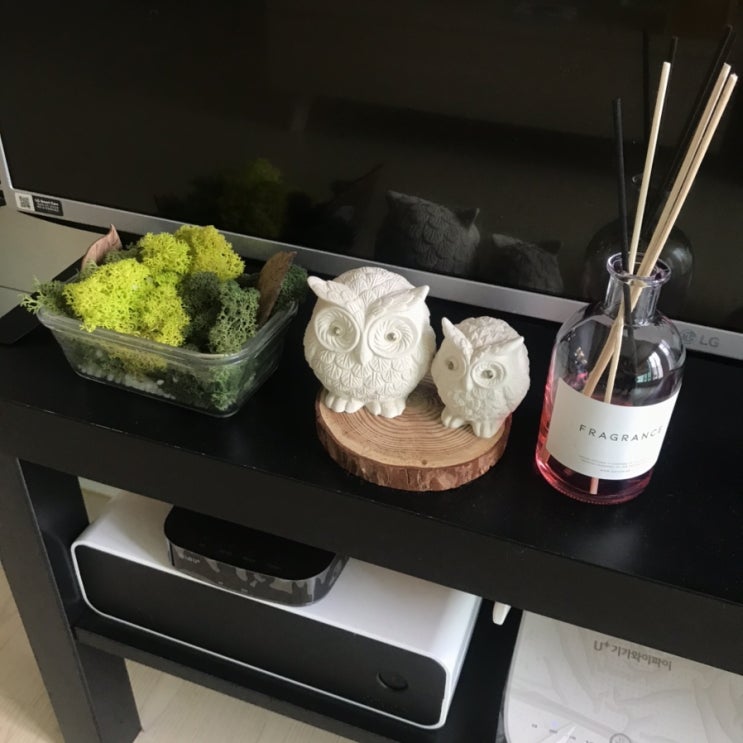  [바이향 디퓨저오일: 은은하게 오래 가는 달콤한 블랙체리]