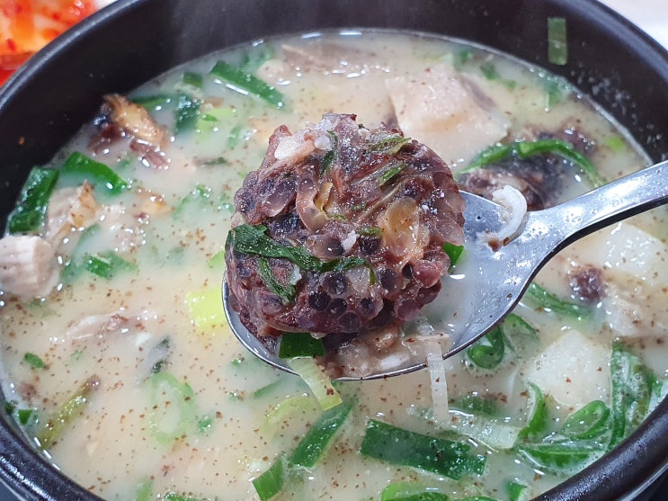  단양 구경시장 맛집 충청도순대 국밥 솔직후기