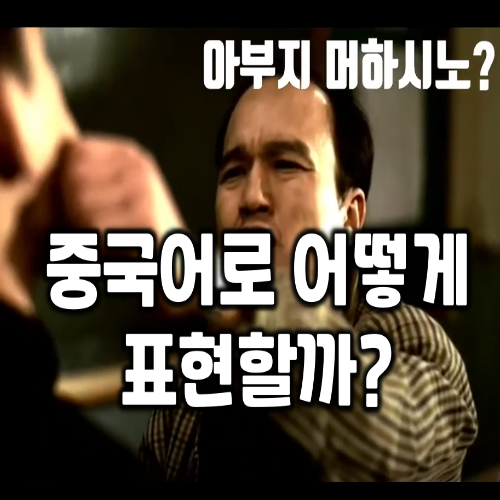 영화 친구로 배우는 중국어 "아부지 머하시노?"