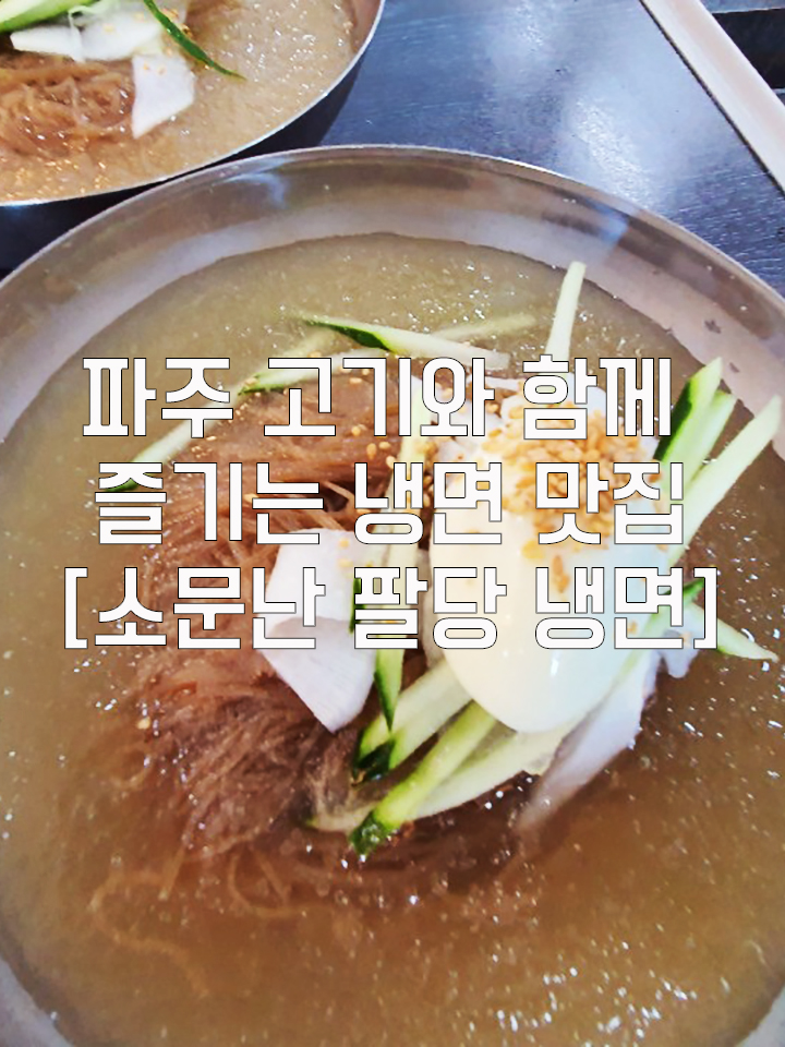  파주 냉면 맛집 [소문난 팔당냉면]