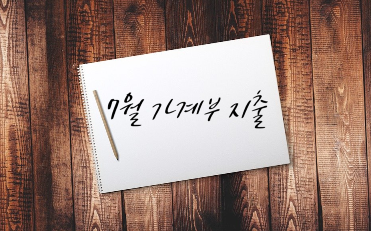  7월 가계부 지출 결산 : 지난달 대비 십만원 절약