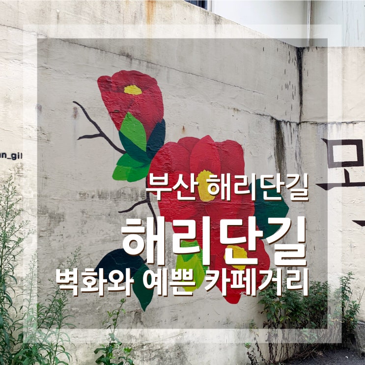  부산 해리단길 카페거리와 벽화마을로 떠오르는 명소 + 주차 꿀팁