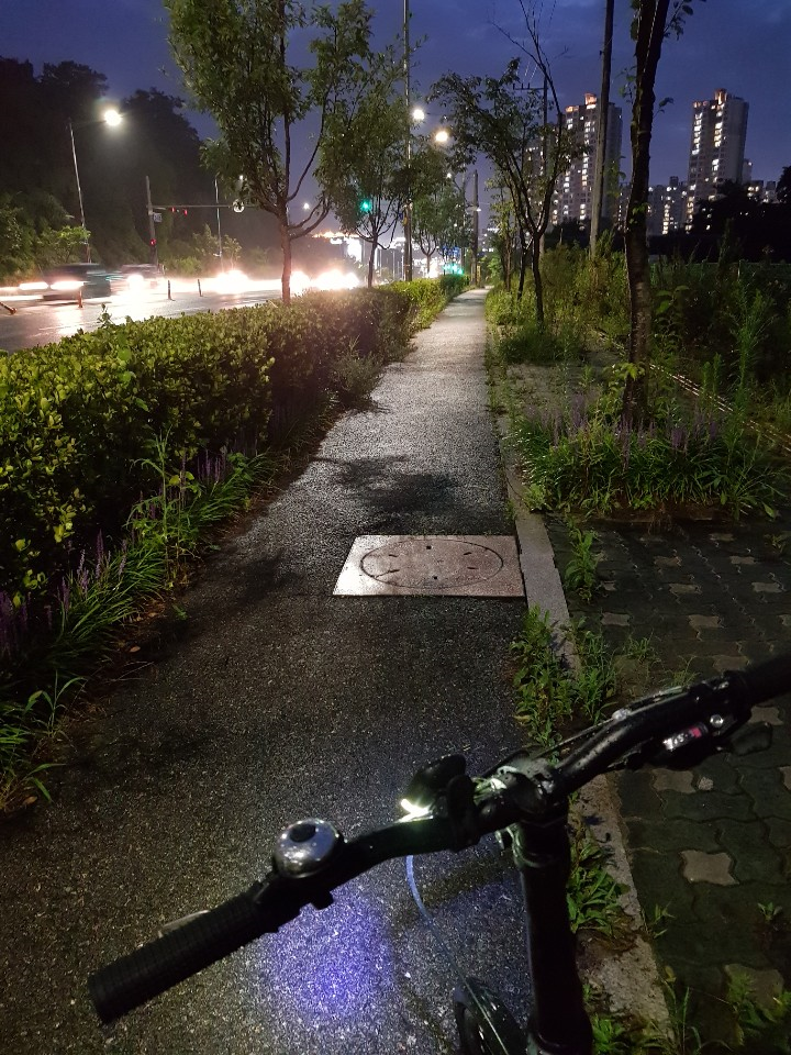  46일차 무지출 D+1